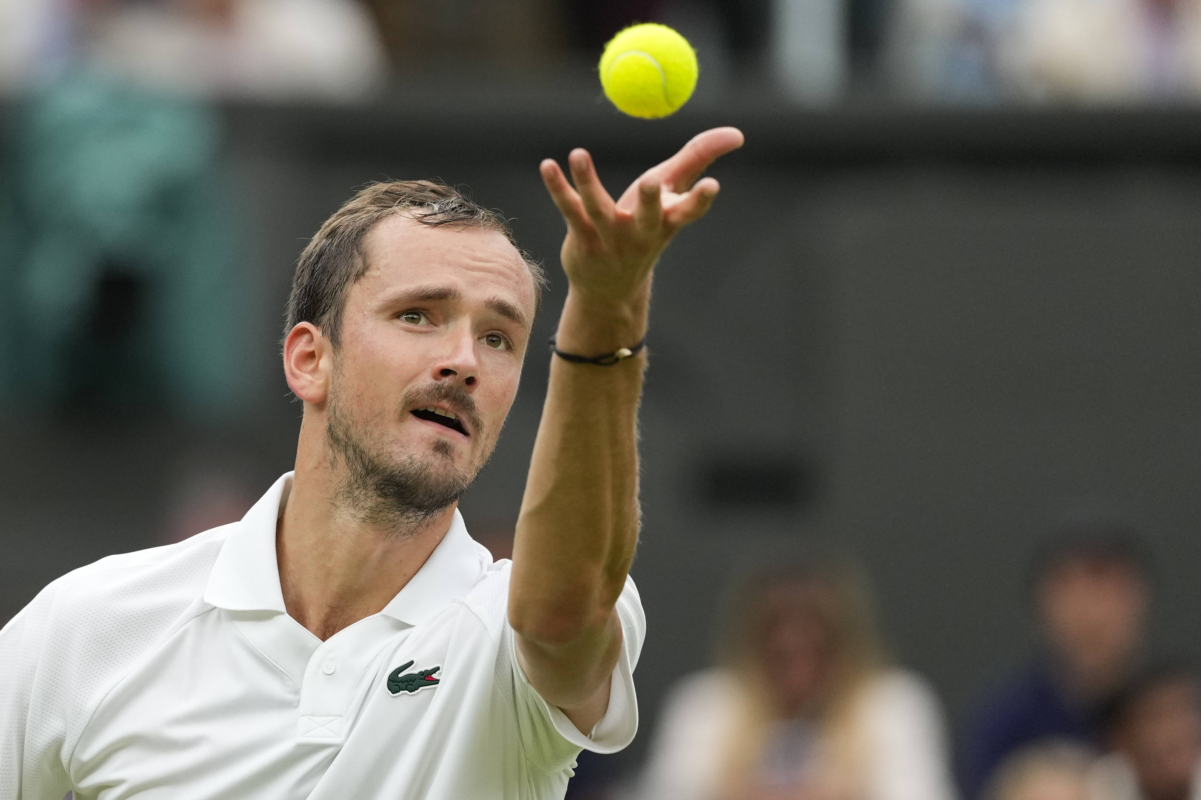 关于戴维斯杯横扫美网，梅德韦杰夫状态火热的信息