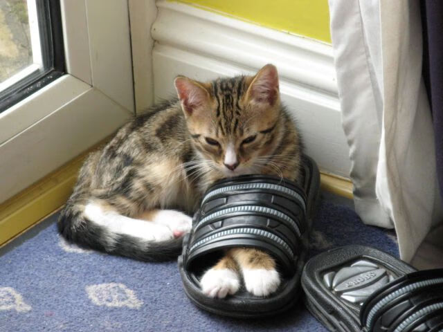 阿圭罗终场爆裂一击，比利亚雷亚尔慈善夜，提前终结的不只是丹麦人的悬念