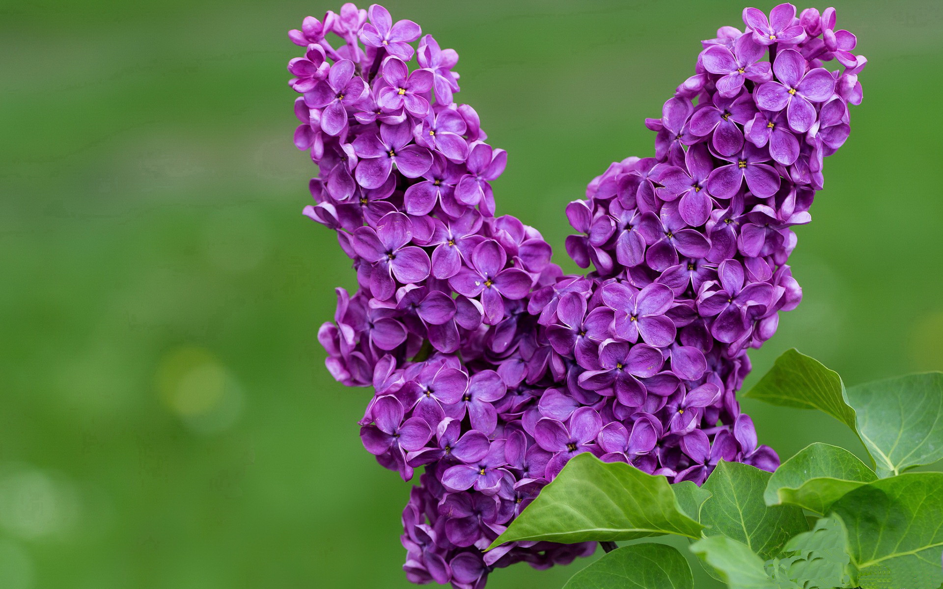 暗夜裂变，迪巴拉在毕尔巴鄂末节接管世界的战争