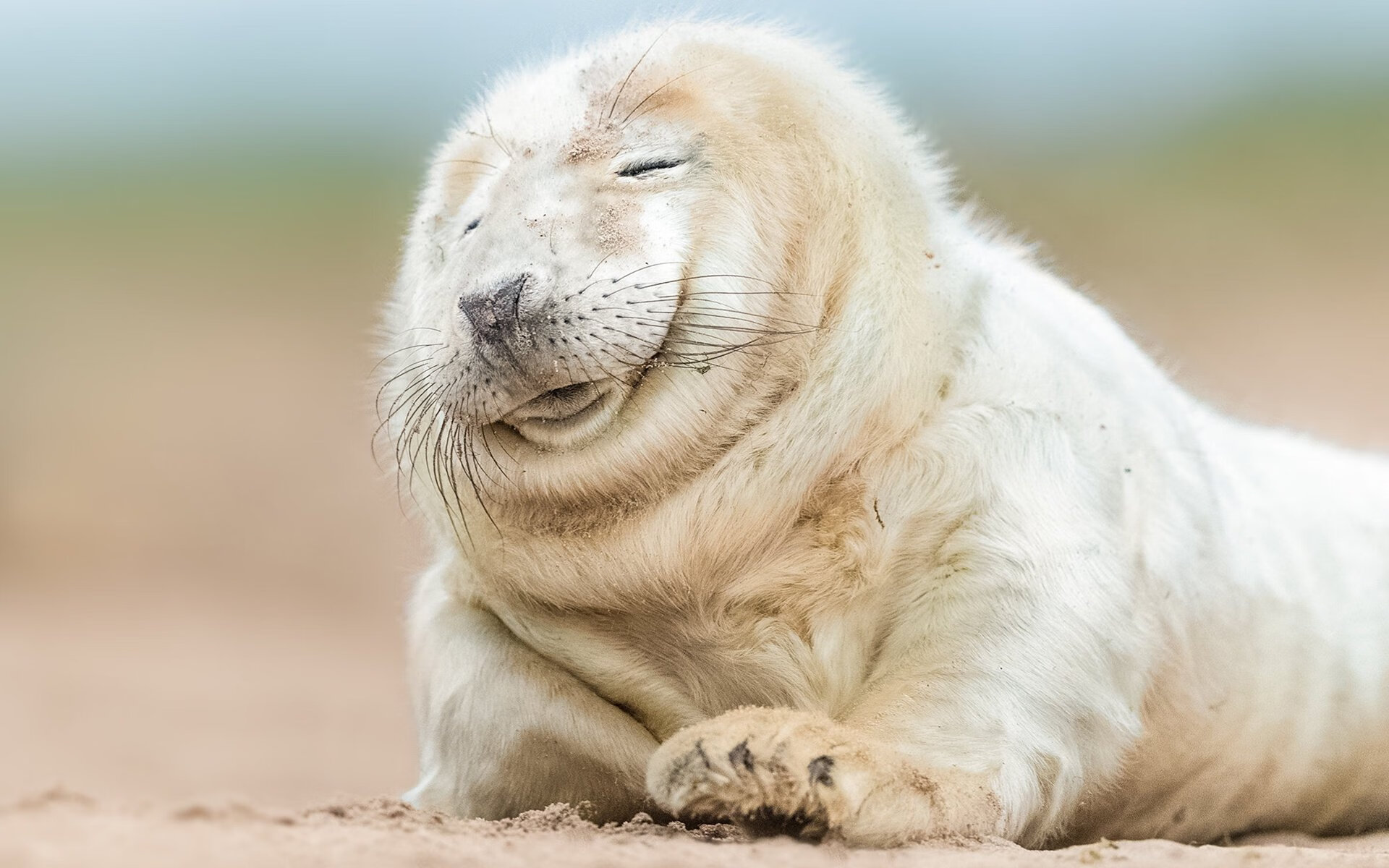 友谊赛制造意外经典，德里赫特用教科书表演，定义了现代中卫的模版