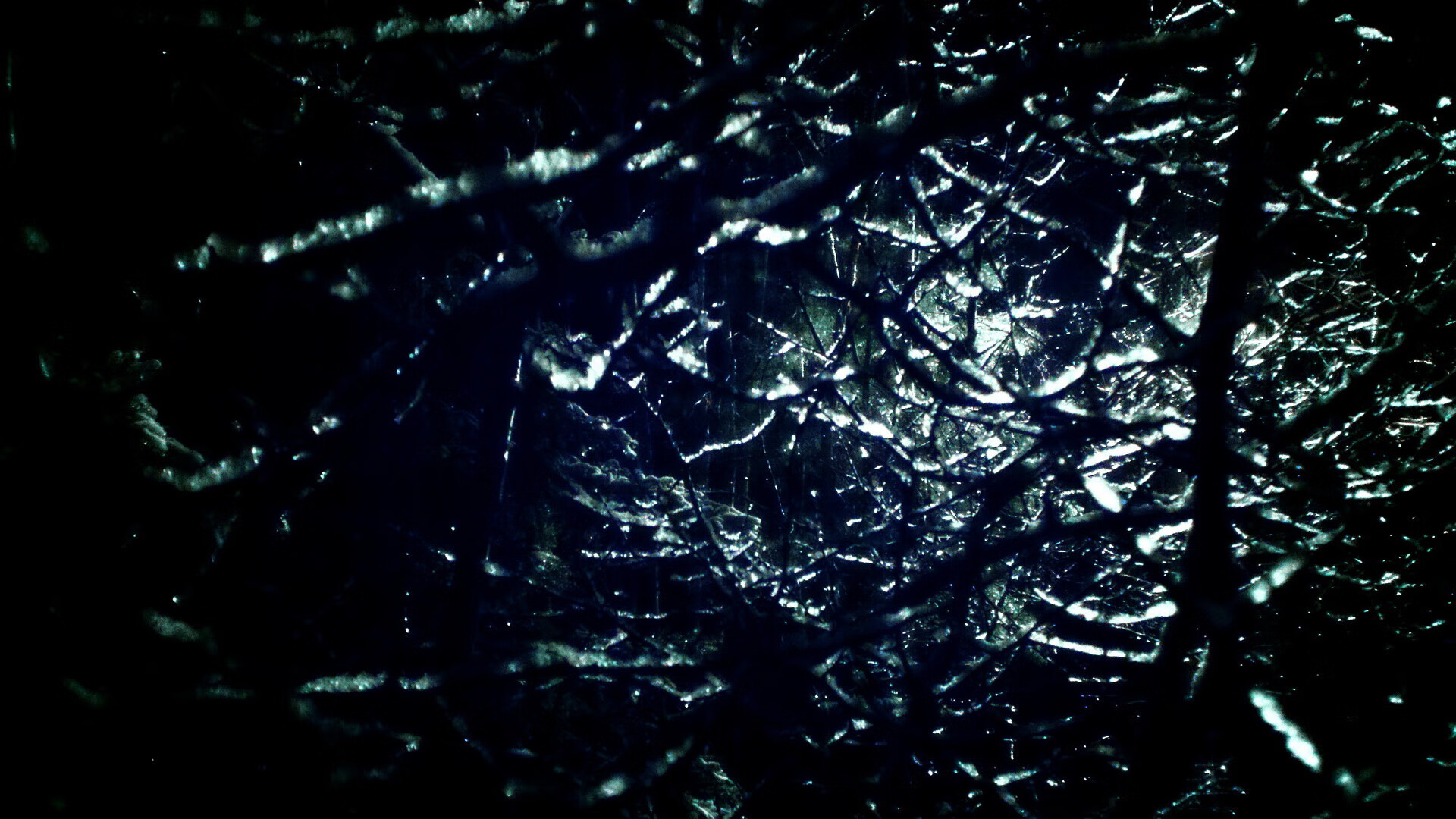 双城记,福克斯的绝杀与骑士的重生