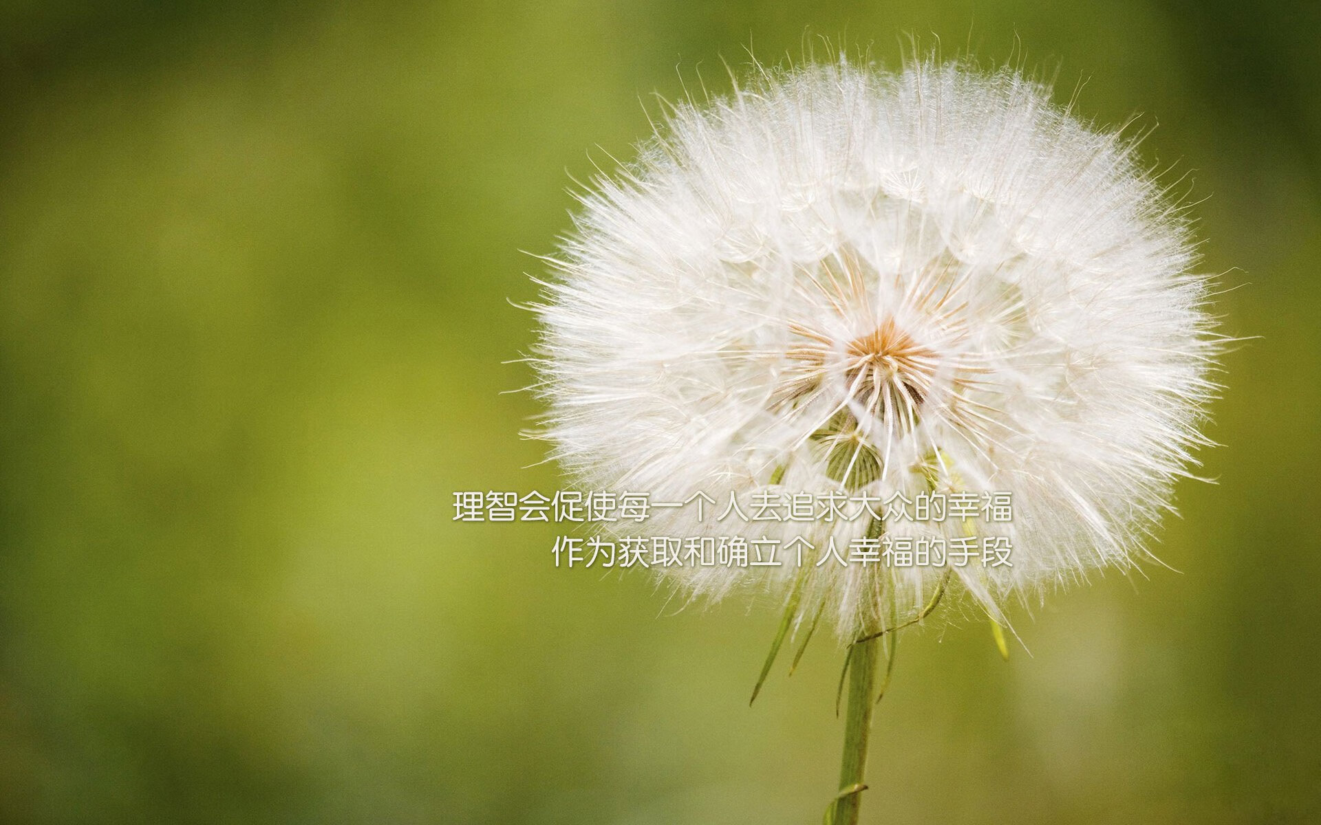 鏖战南美双雄,乌拉圭与哥伦比亚在美加墨世界杯的焦点对决纪实