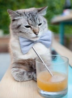 东方战场点燃红蓝烽火，萨拉赫灵光撕裂夜空，塞维利亚铁血晋级书写中国篇章