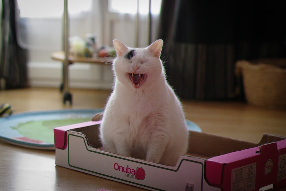 修罗场验证传奇，克莱•汤普森末节15分提前终结悬念