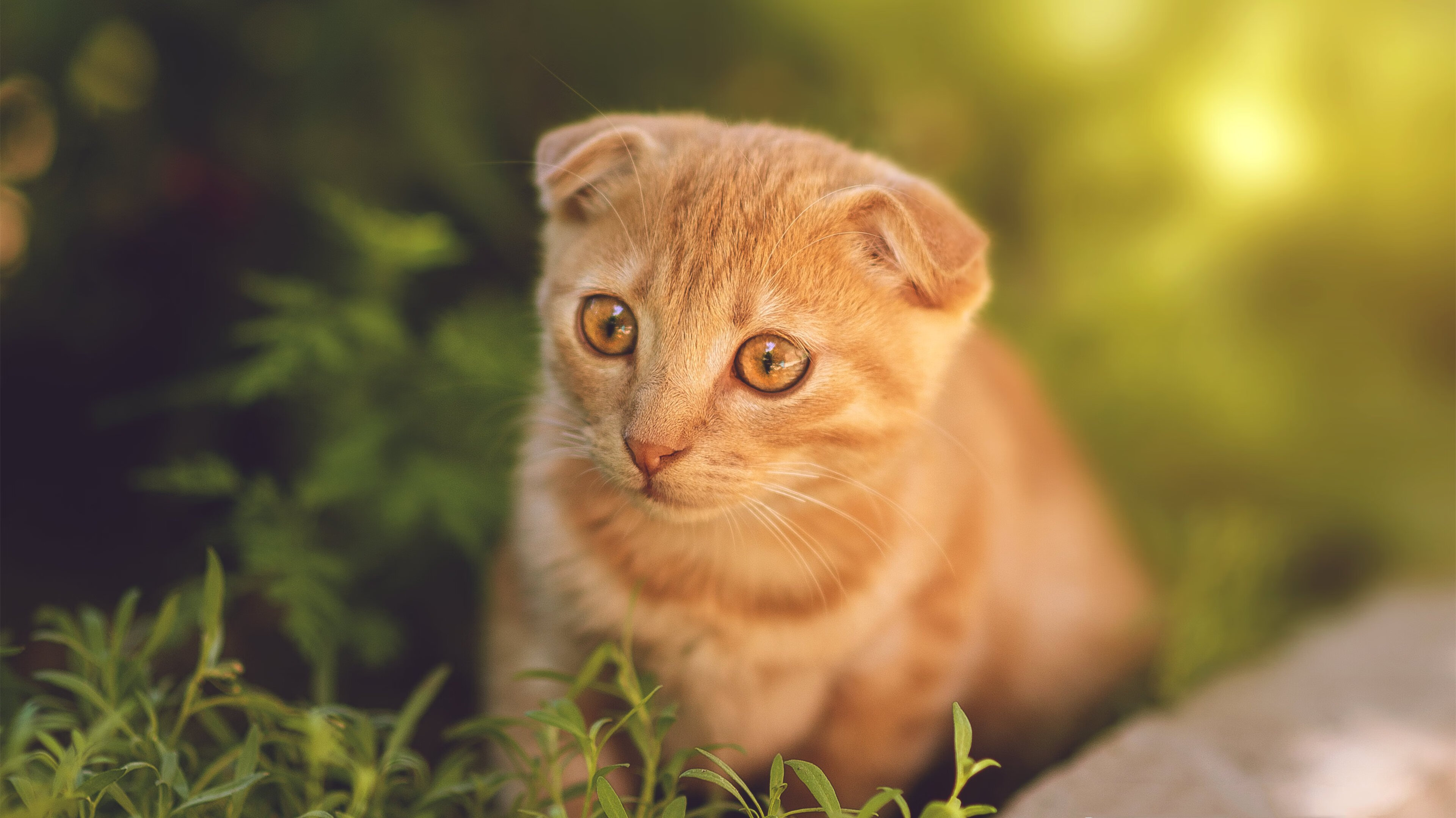 更咸的海，克罗地亚争冠战胜出比利亚雷亚尔，加维成为关键先生