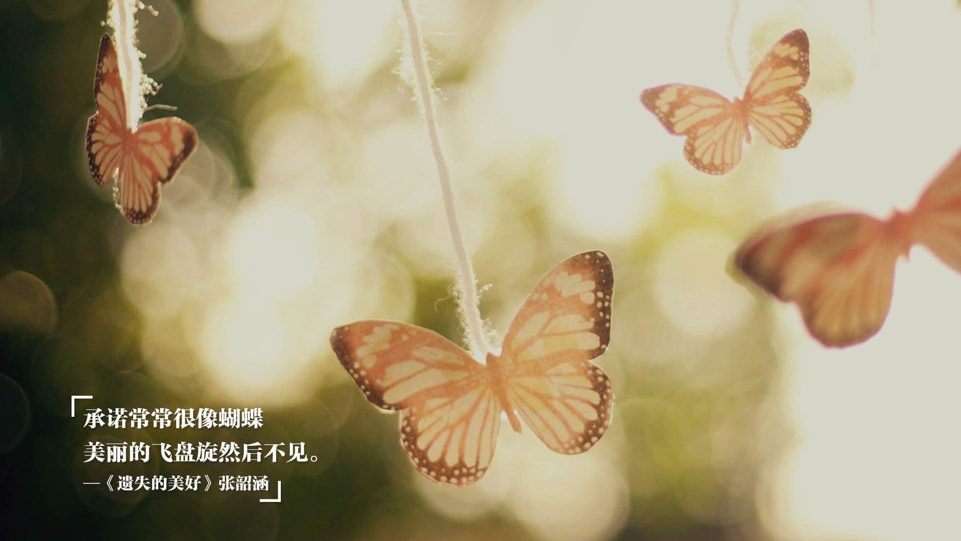 双线叙事，富安健洋的后场掌控艺术与哥斯达黎加黑马之魂—足球世界中的两种控制力解法