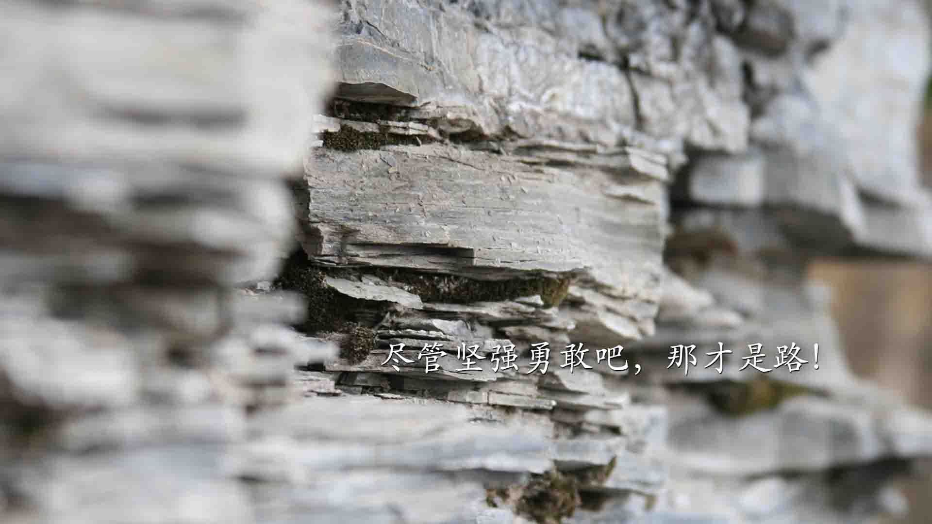 加时鏖战，压制级莫兰特令火箭升空梦碎，孤星闪耀与体系困局的无声对话