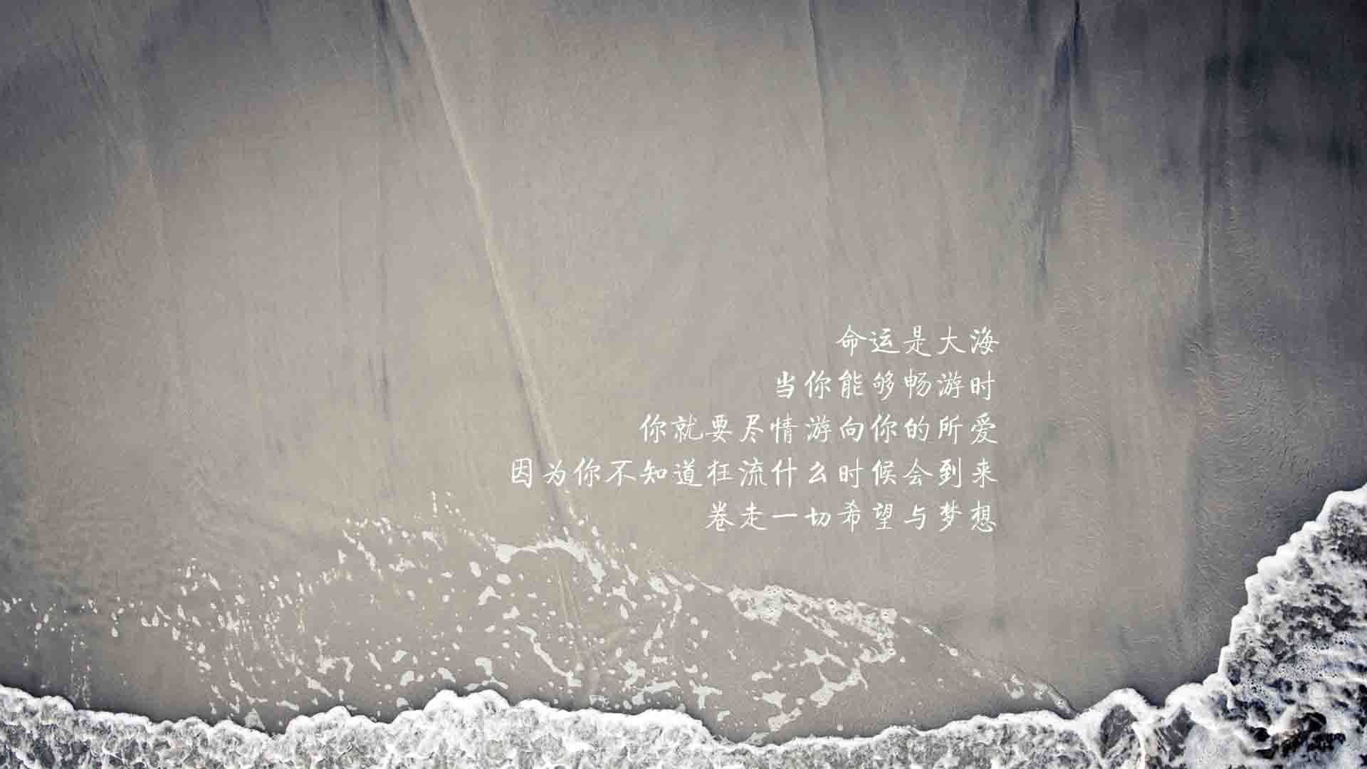 逆转之王莱万，打破大国的唯一种植园，当厄瓜多尔的高原之鹰啄伤葡萄牙的航海家