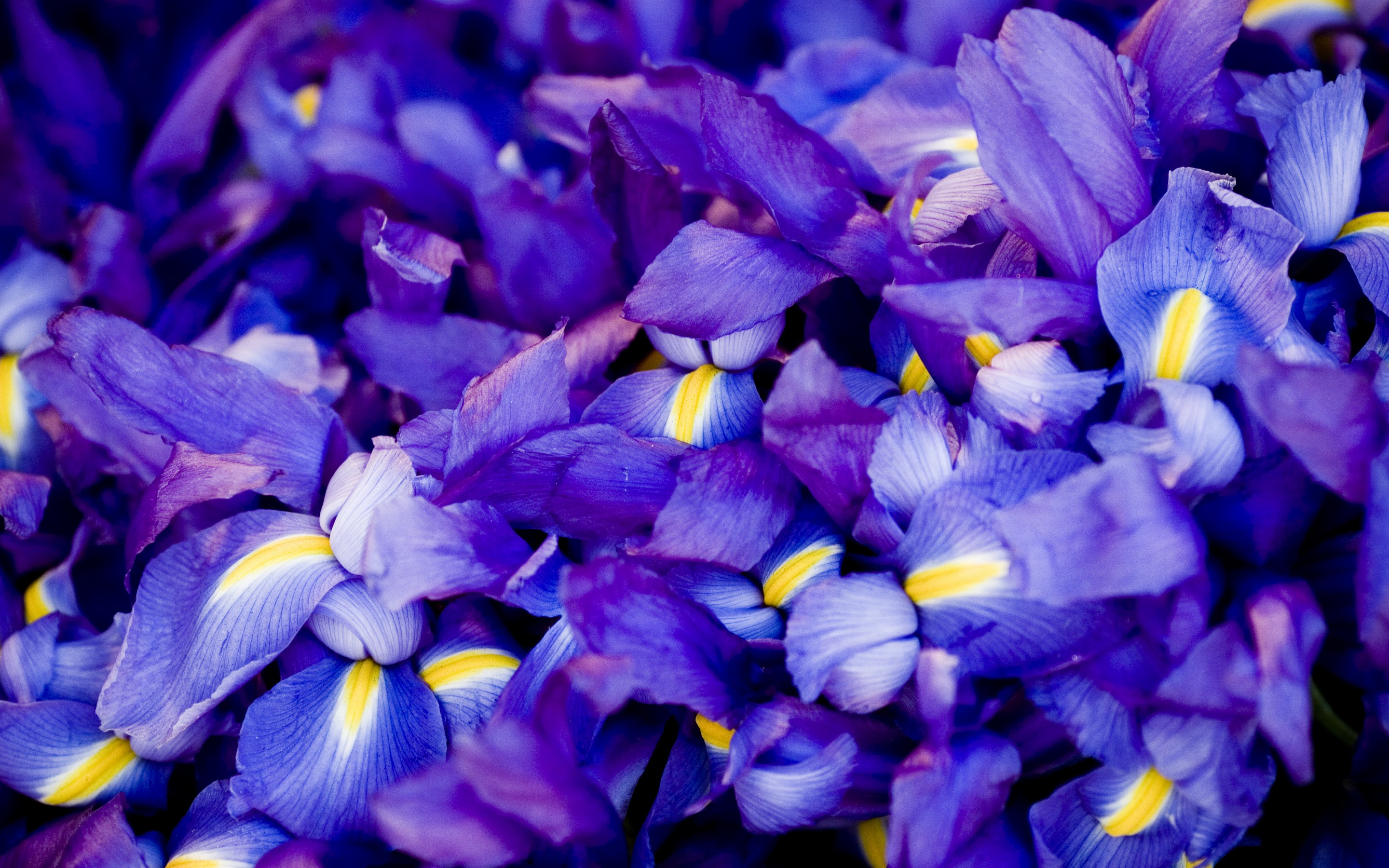 唯一的神剧本，摩洛哥双杀锁定出线，意大利读秒绝杀送葡萄牙回家—2026世界杯B组死亡之组最惨烈终局