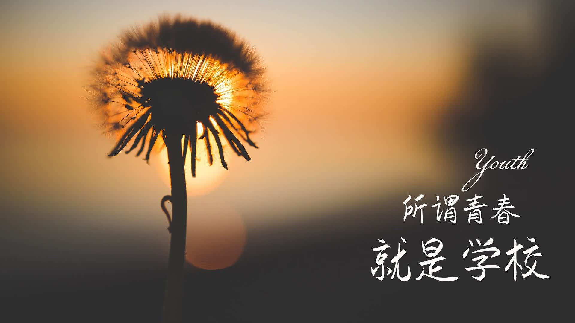 唯一之战，2026世界杯B组关键战，萨内独舞撕裂加纳，葡萄牙战术革命铸就传奇